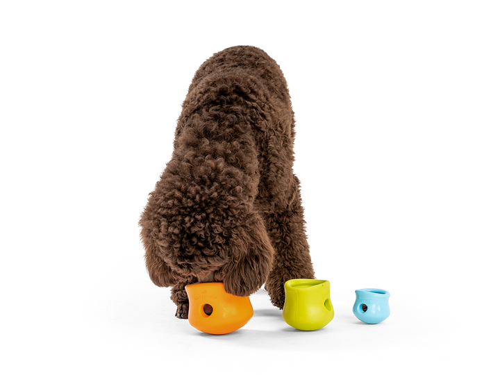 Toppl® - Puzzle Toy