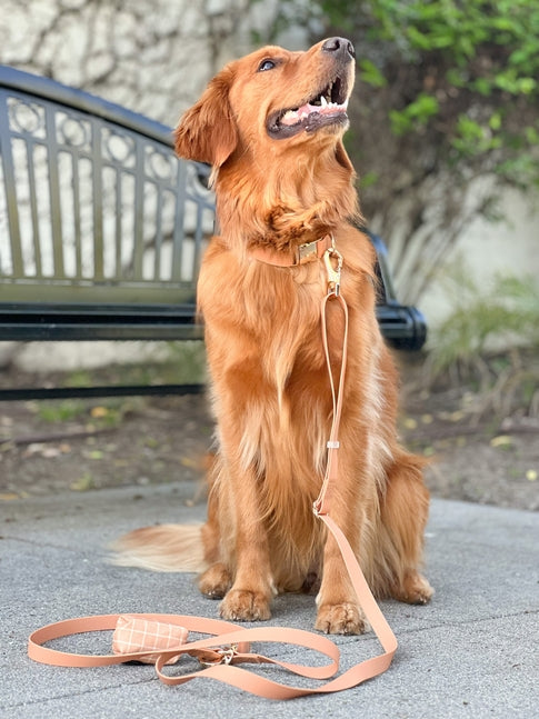 Cloud Wide Hands-Free Convertible Leash