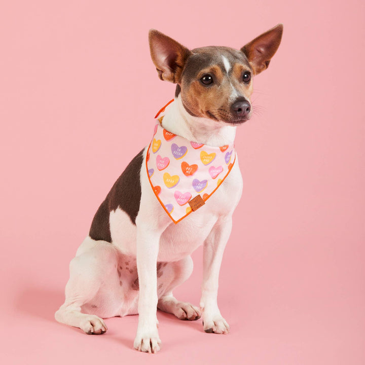 Candy Hearts Valentine's Day Bandana