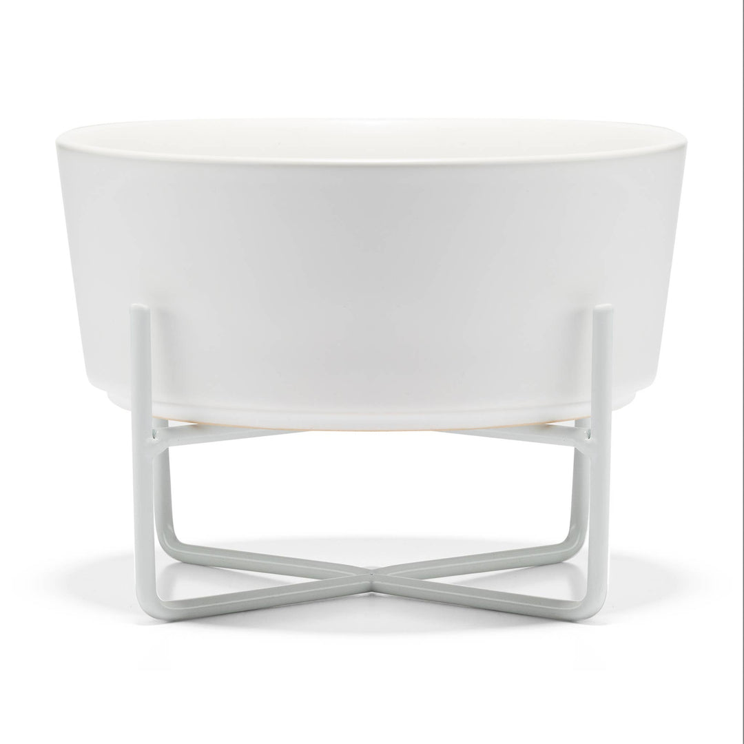 Simple Solid Bowl + Dog Bowl Stand
