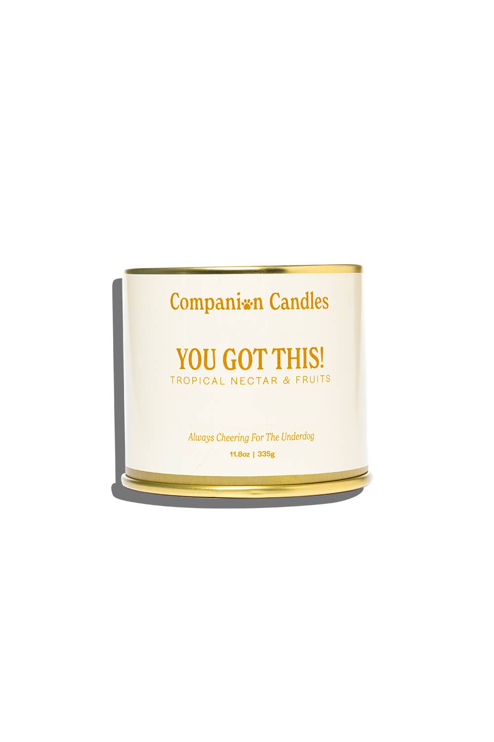 Citrus Coconut-Soy Scented Candle (Pet-Safe)