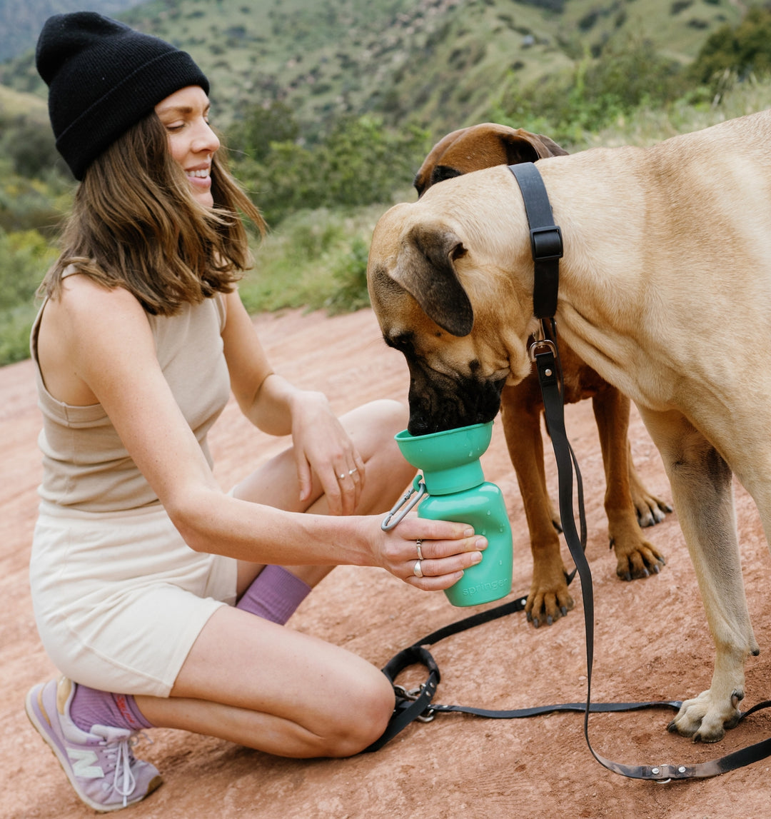 Flip Travel Water Bottle (20 oz)