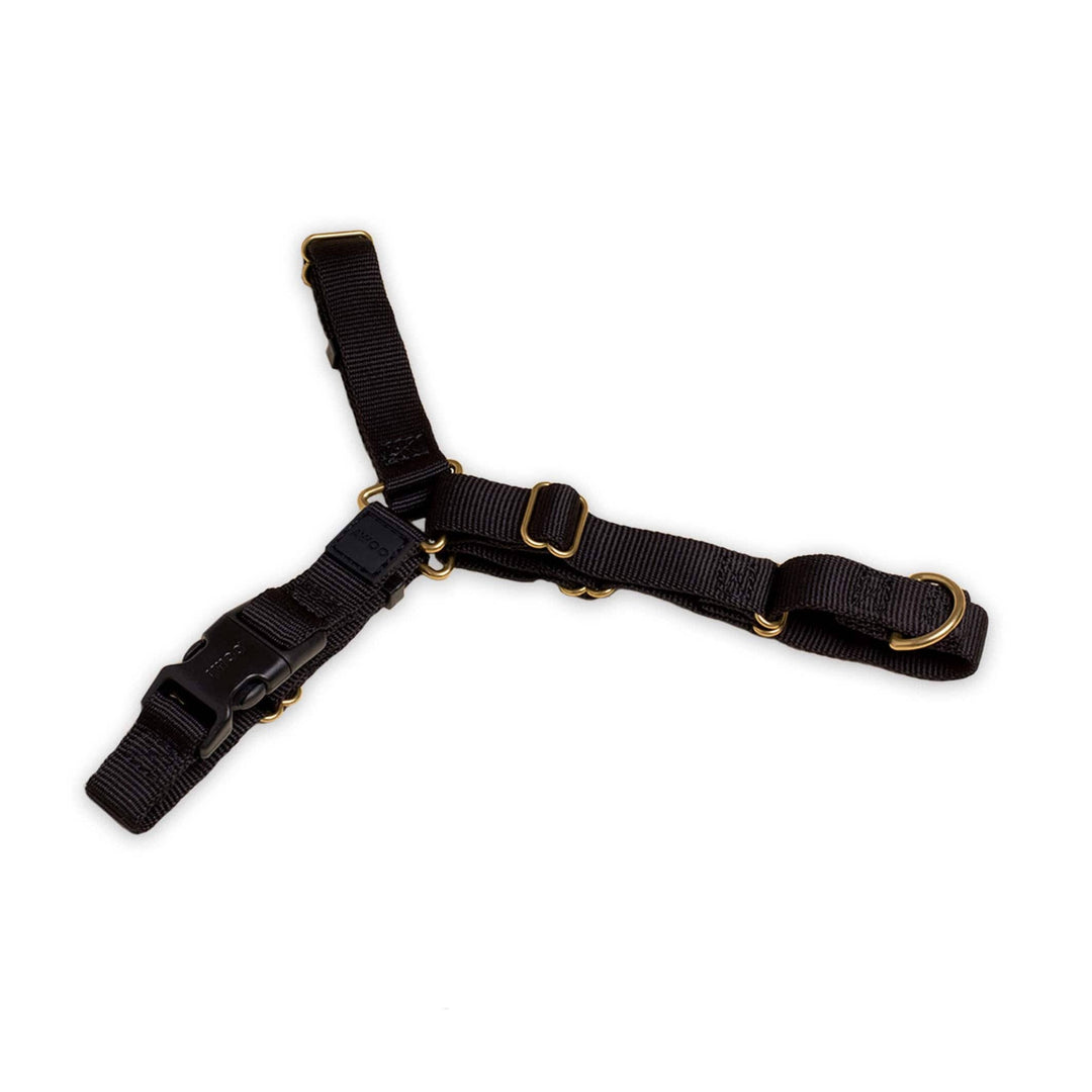 Roam Harness