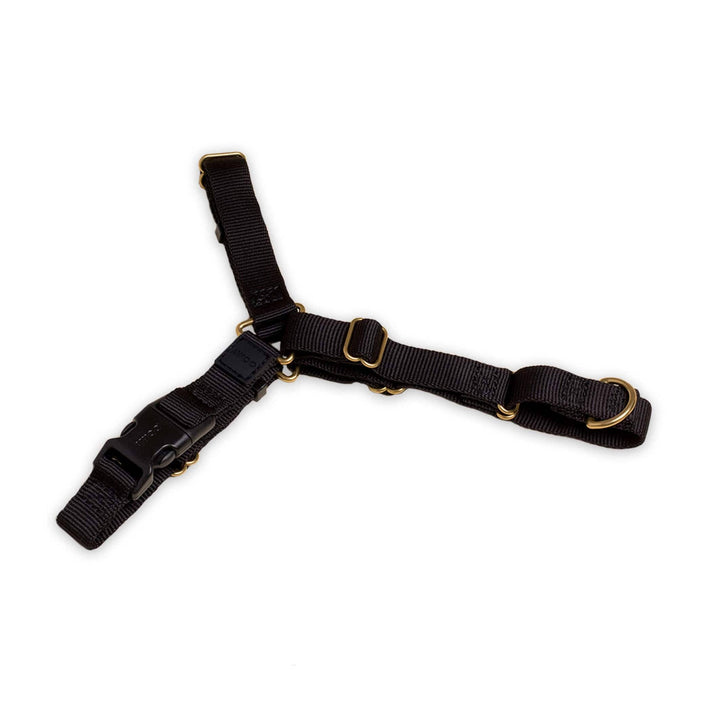 Roam Harness
