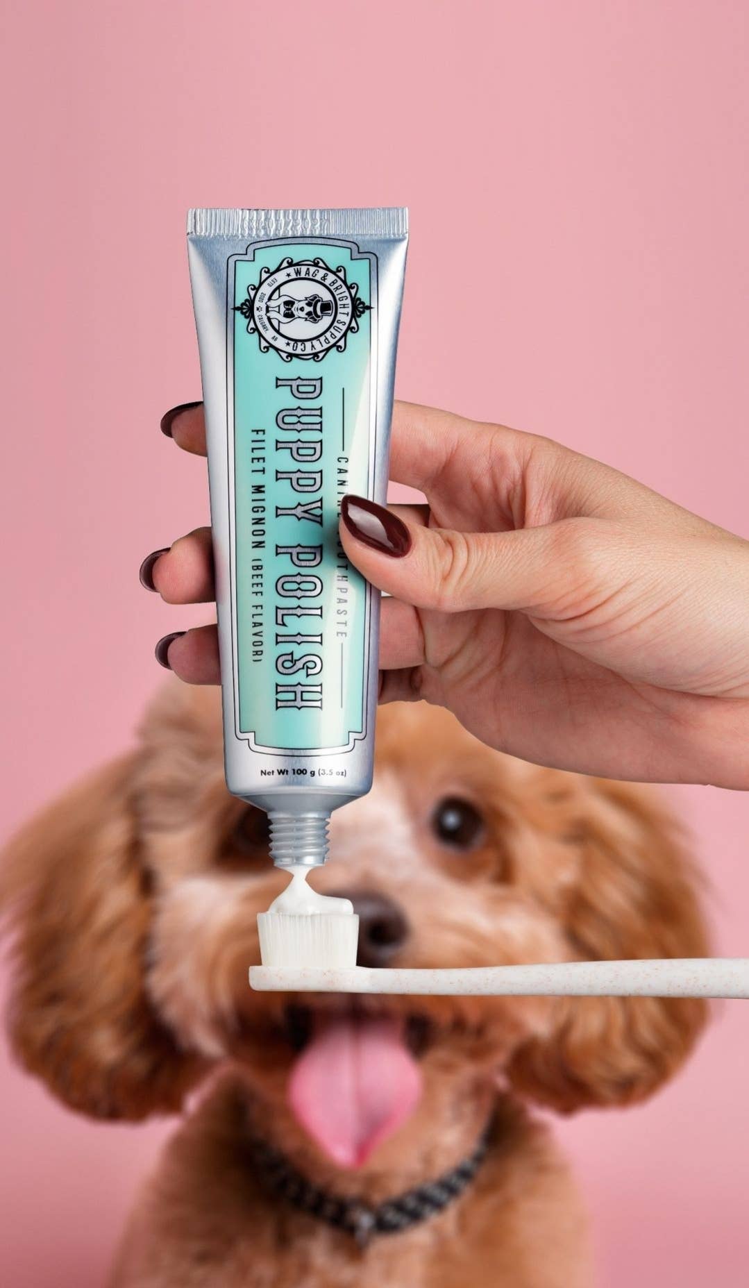 Wag & Bright Puppy Polish Toothpaste 100g
