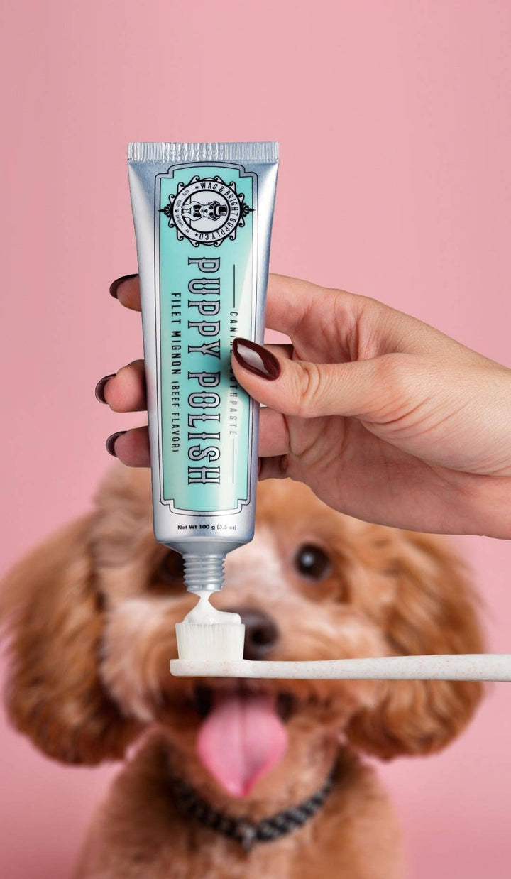 Wag & Bright Puppy Polish Toothpaste 100g