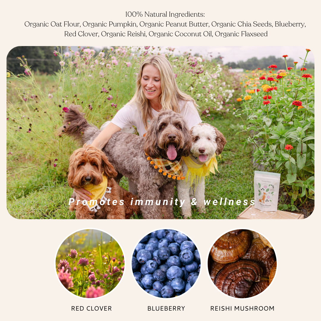 Botanical Bones - Organic Dog Treats