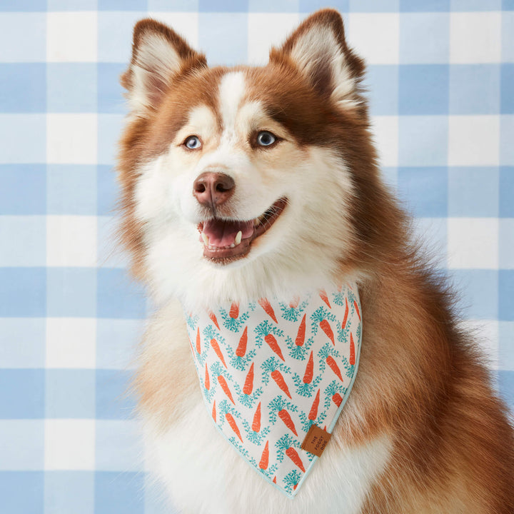 Carrot Patch Easter Reversible Bandana
