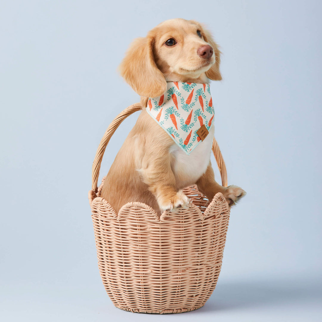 Carrot Patch Easter Reversible Bandana