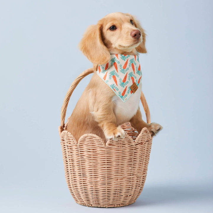 Carrot Patch Easter Reversible Bandana