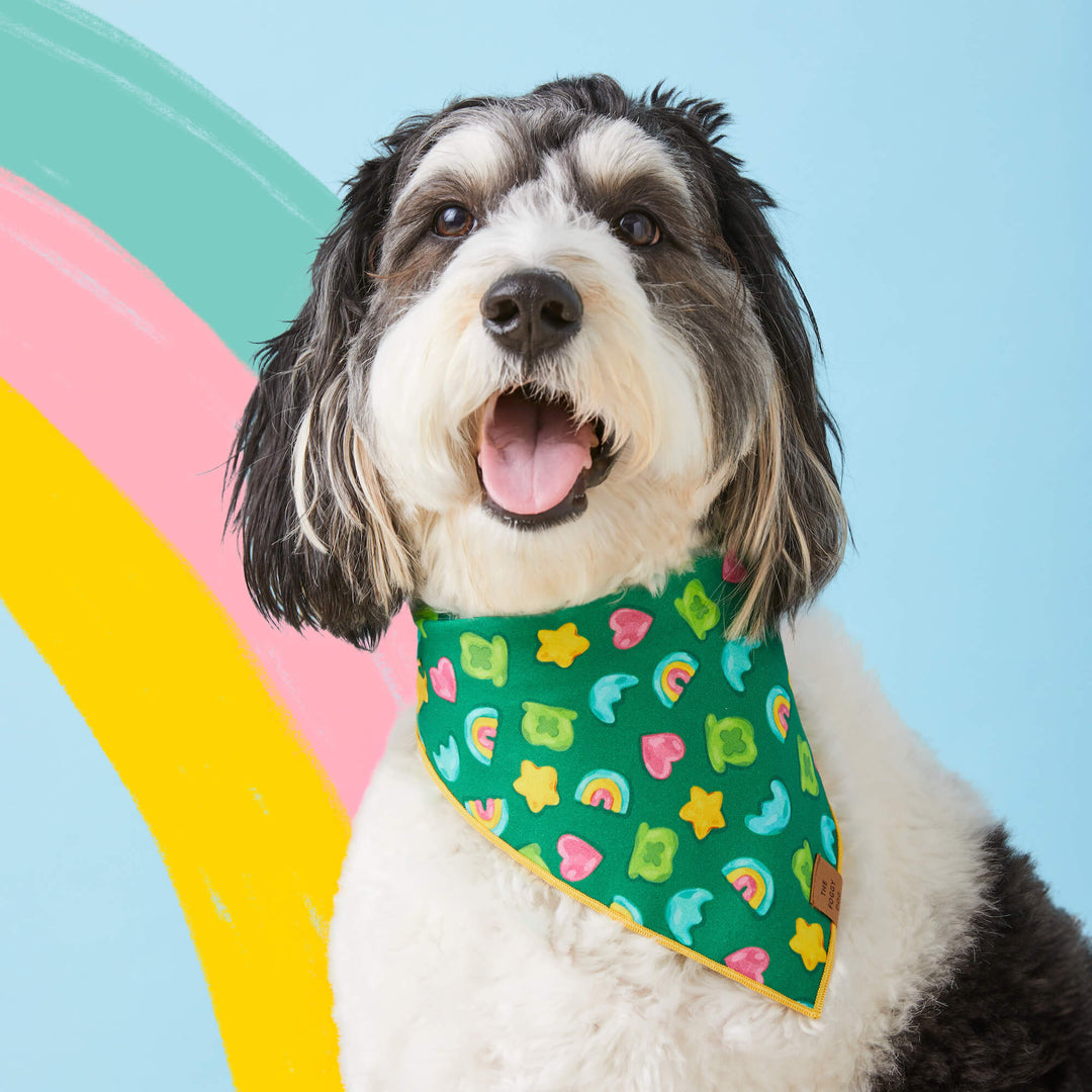 Charmed St. Patrick's Day Bandana
