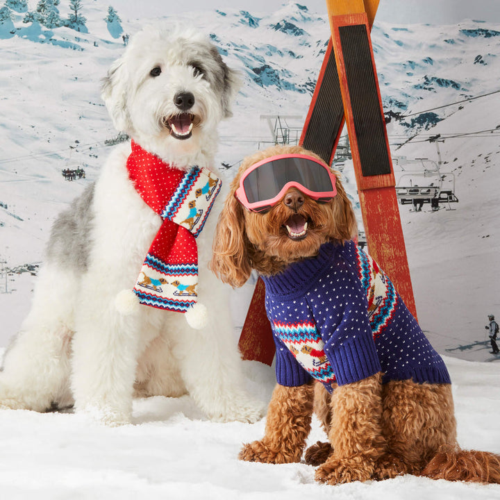 Gray Malin x TFD Hit the Slopes Sweater