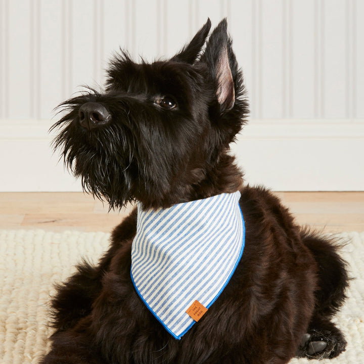 Lake Blue Stripe Bandana