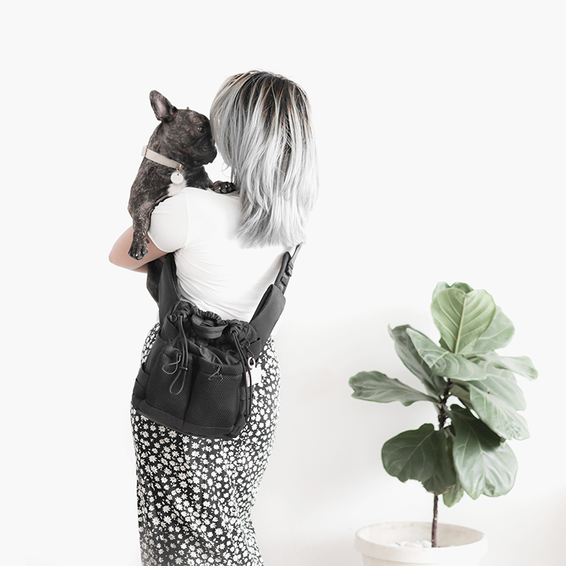 Everyday Dog Walking Bag & Treat Pouch