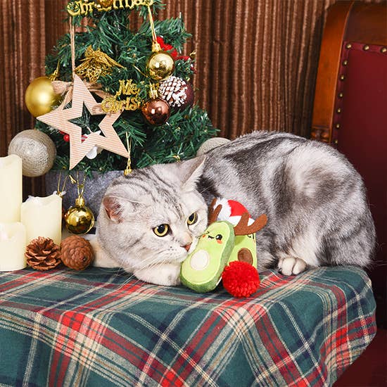 Avocado Christmas - Cat Toy Set