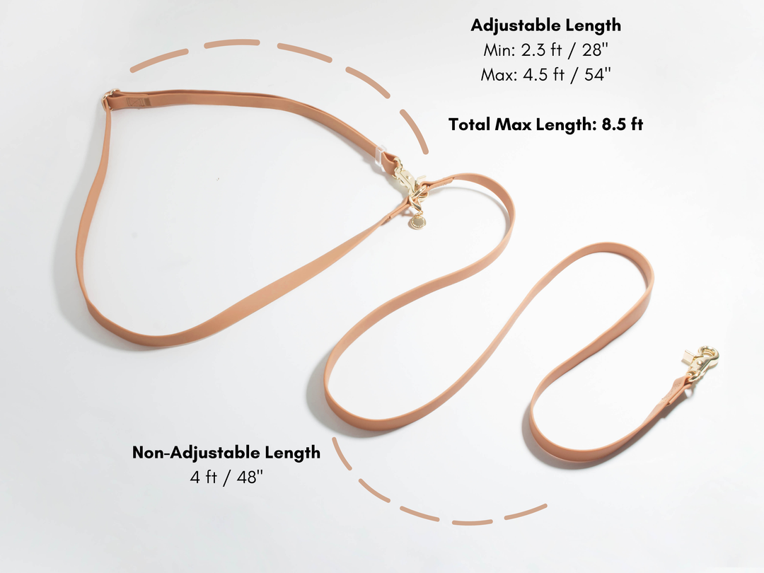 Cloud Hands-Free Convertible Leash