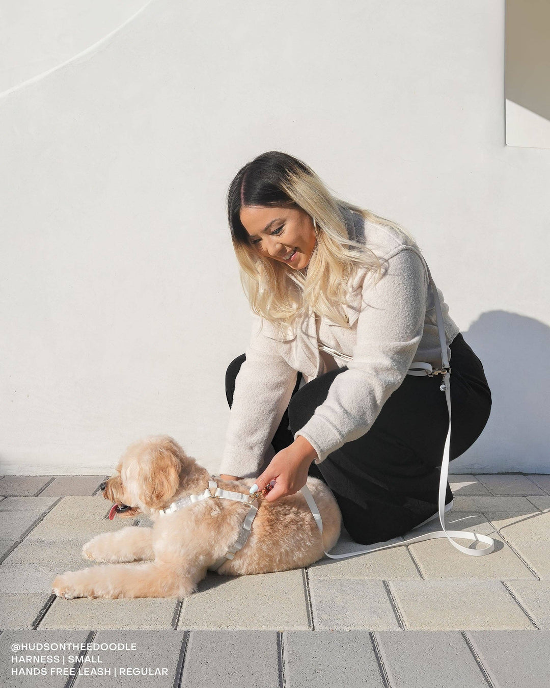 Cloud Hands-Free Convertible Leash