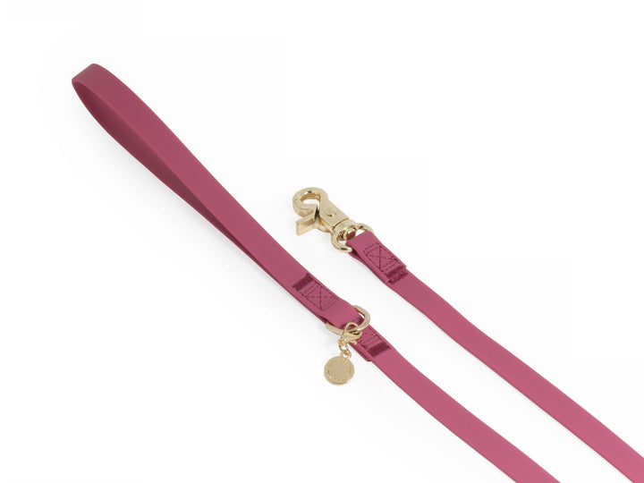 Cloud Waterproof Long Line Leash (30 ft)