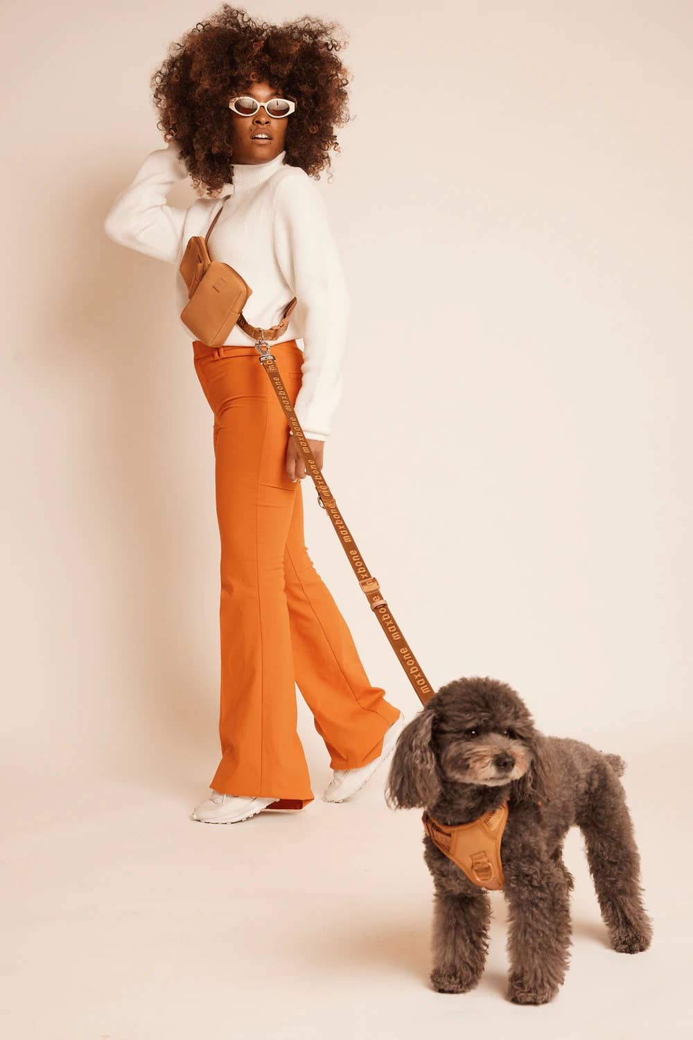 GO! With Ease Hands-Free Leash