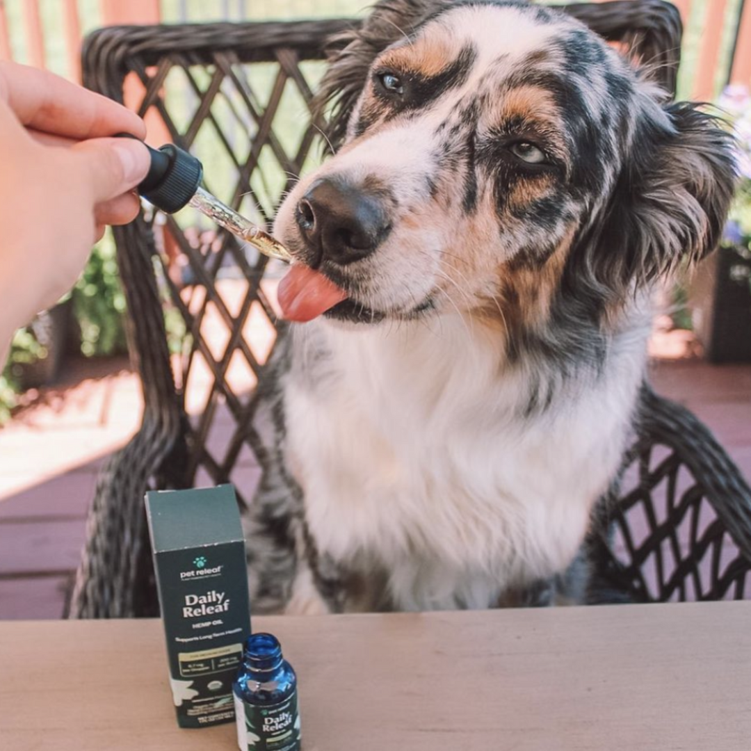 USDA Organic Daily Releaf 200mg CBD Oil For Medium Dogs