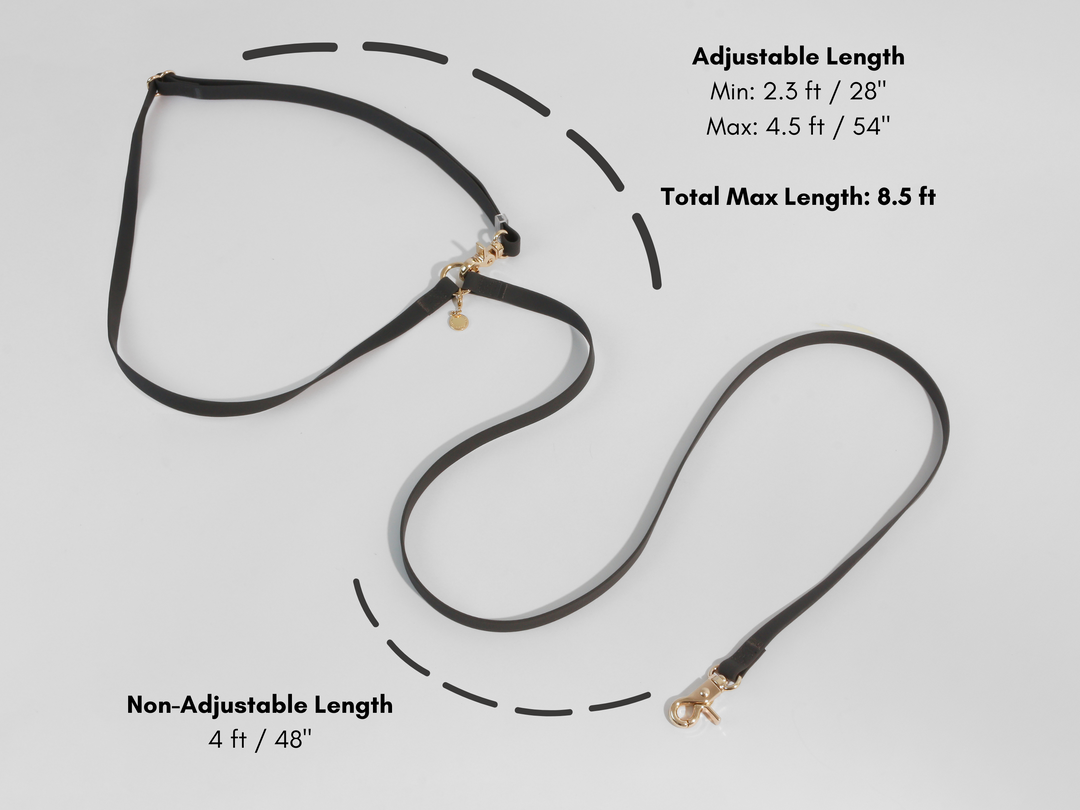 Cloud Hands-Free Convertible Leash