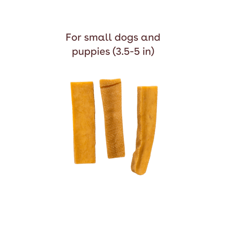 Yak Cheese Dog Chew Small 3-Pack