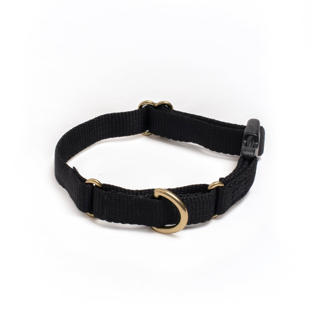 Marty Collar