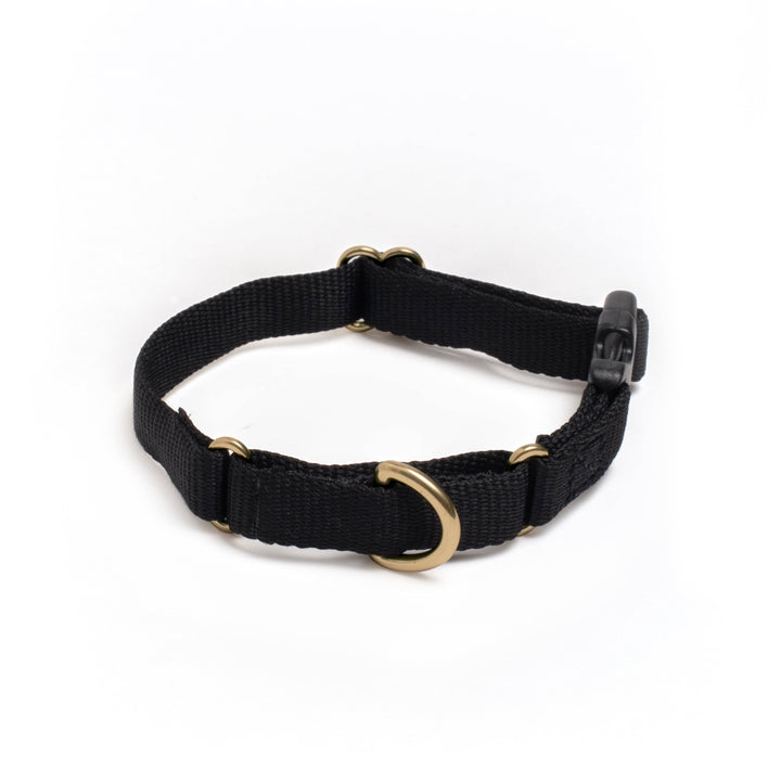 Marty Collar