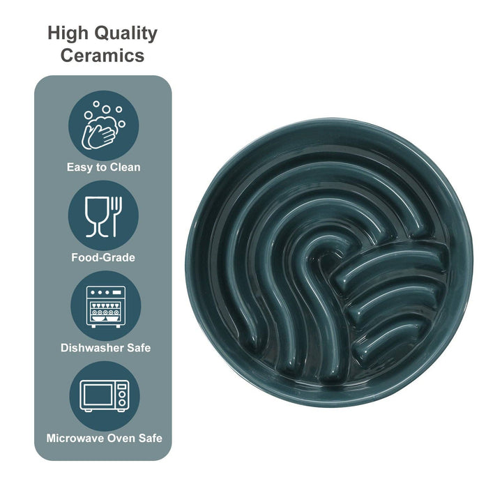 Spark Slow Feeder Dog Bowl