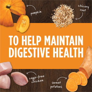 Raw Boost Mixers - Gut Health
