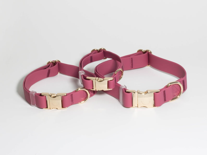 Cloud Waterproof Collar