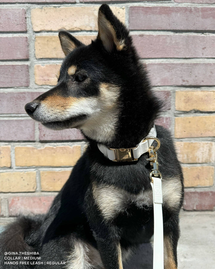 Cloud Waterproof Collar