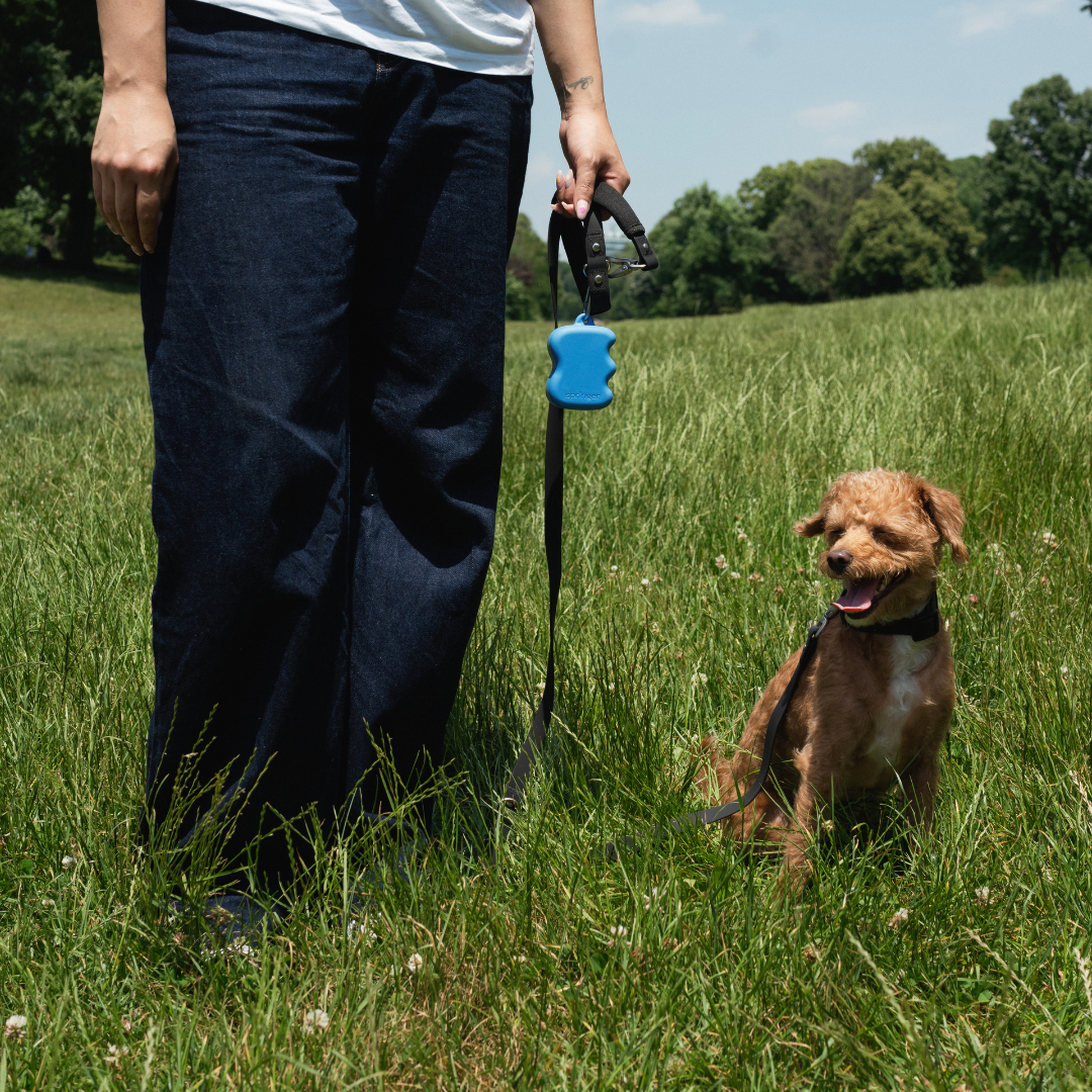 Squeeze Silicone Dog Treat Dispenser