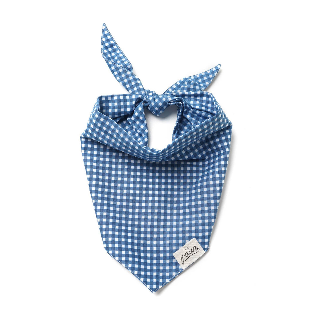 Blue Gingham Dog Bandana