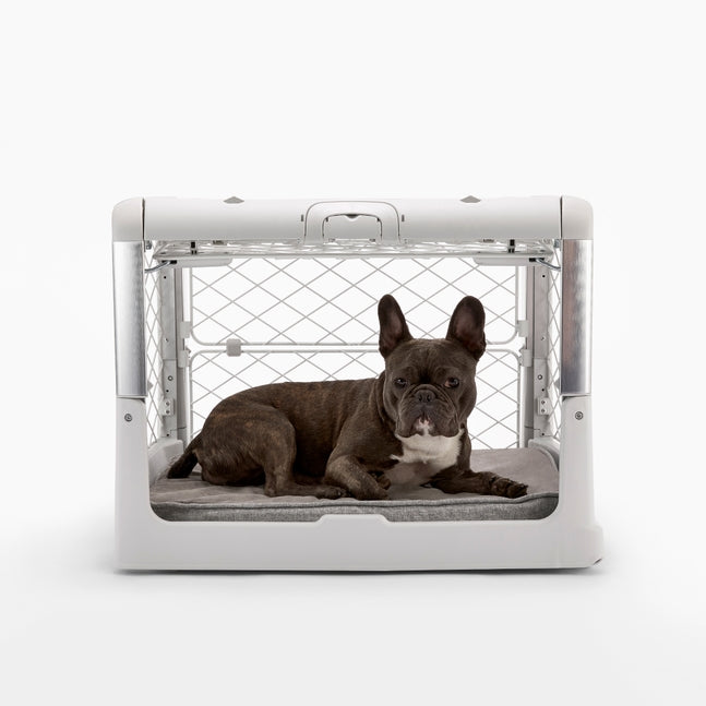 Revol Collapsible Dog Crate
