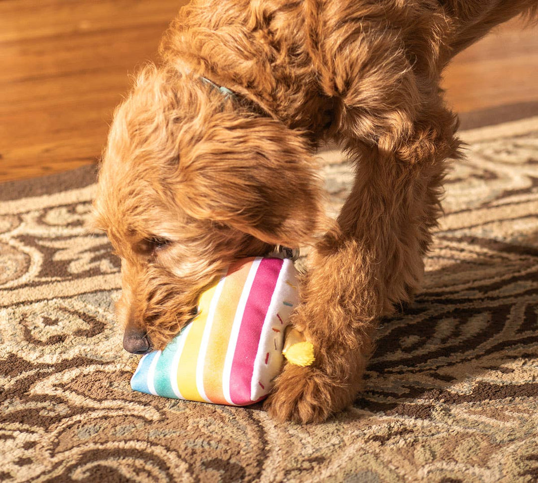 ThoozyPet Birthday Cake Plush Dog Toy