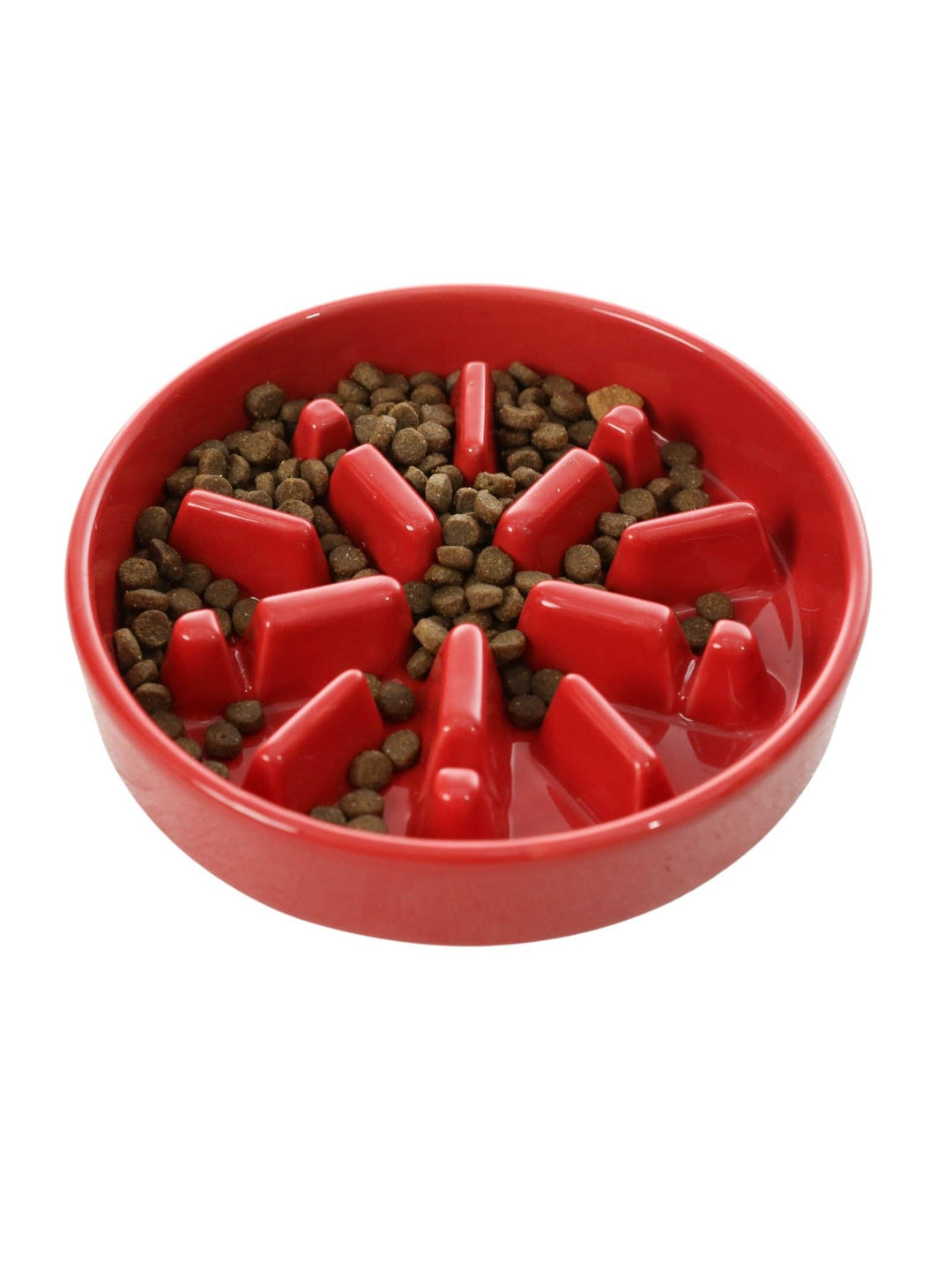 Spark Slow Feeder Dog Bowl