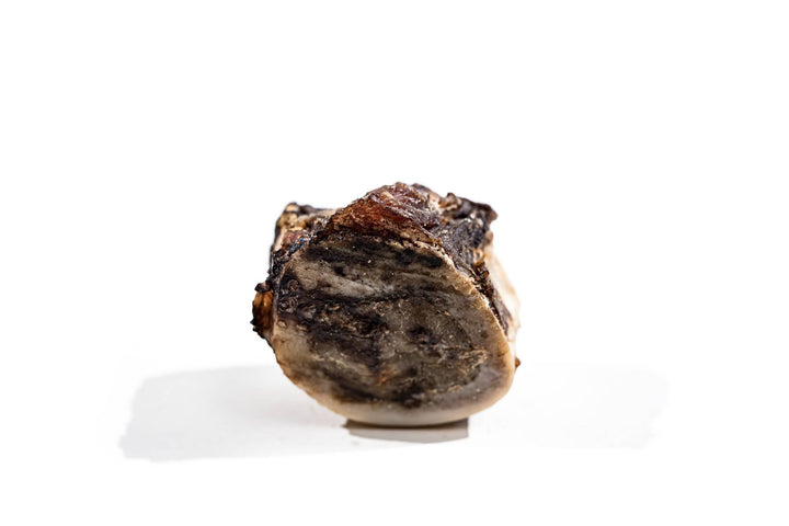 Bison Marrow Bone