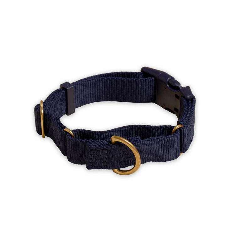 Marty Collar