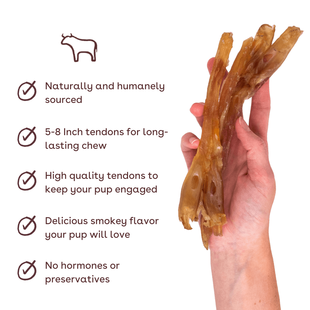 Standard Beef Tendon Dog Chew 4 Pack