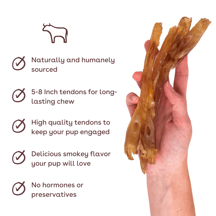 Standard Beef Tendon Dog Chew 4 Pack
