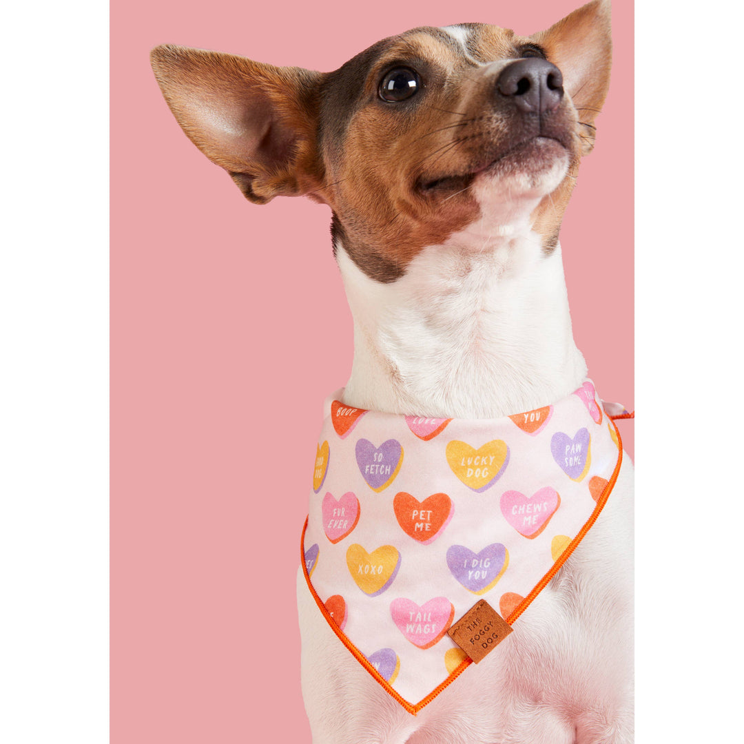 Candy Hearts Valentine's Day Bandana