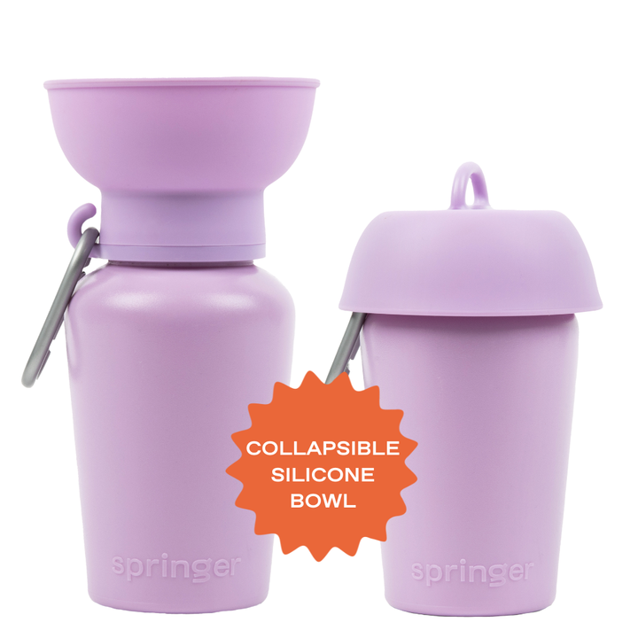 Flip Travel Water Bottle (20 oz)