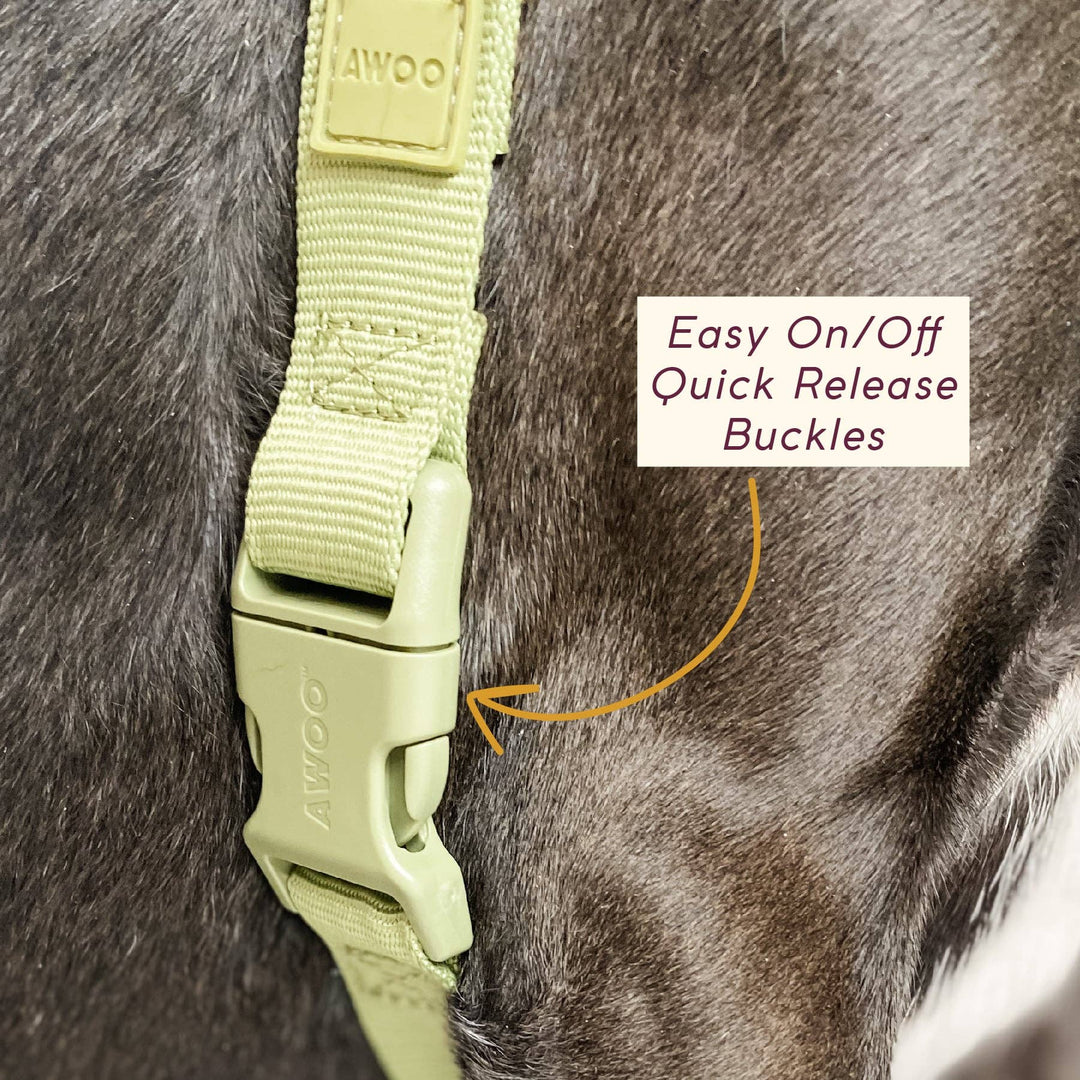 Roam Harness