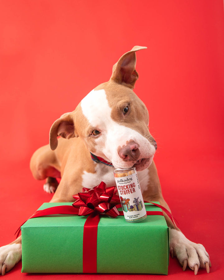 Stocking Stuffer - Dog Treats
