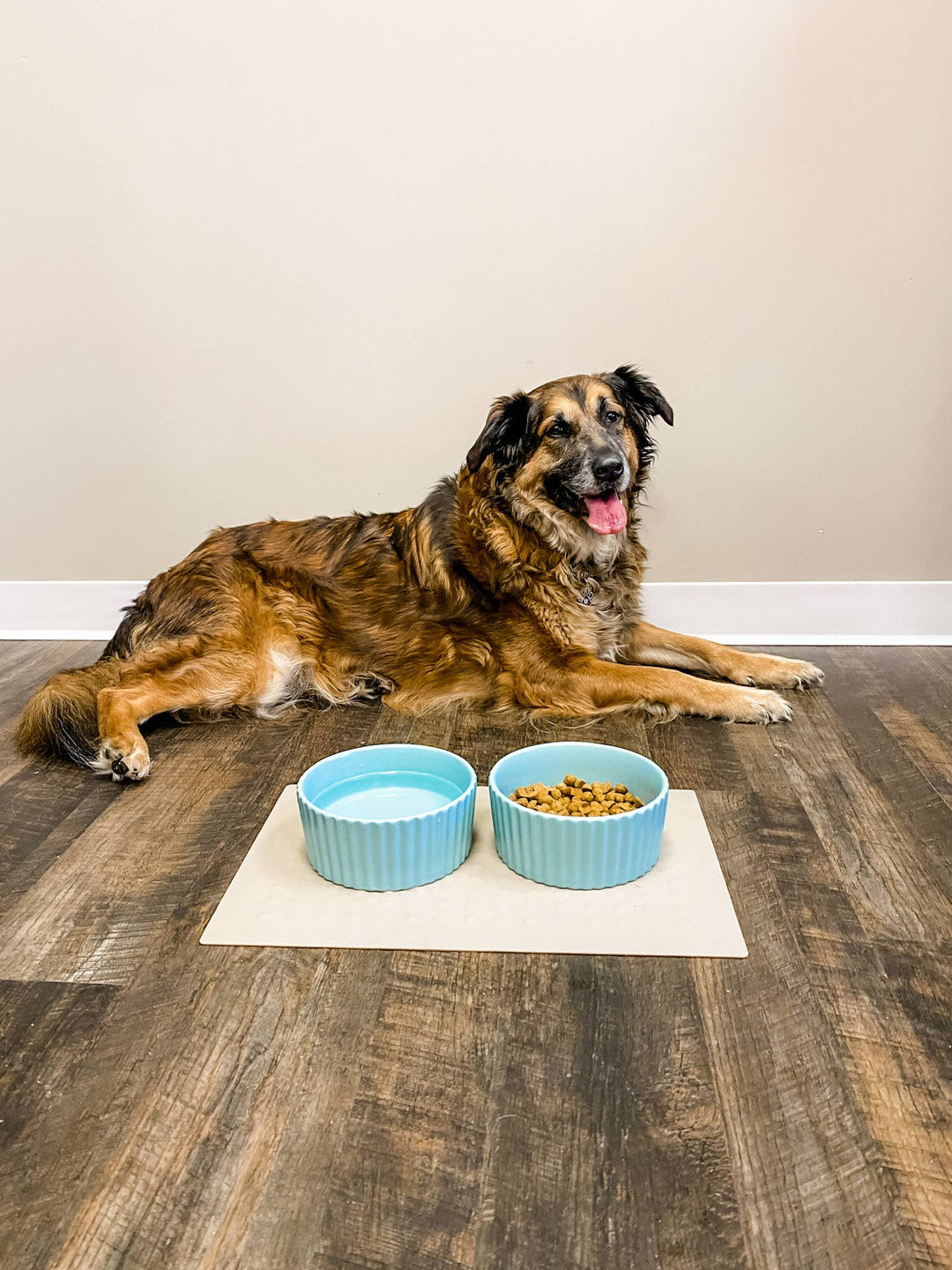 Ripple Dog Bowl
