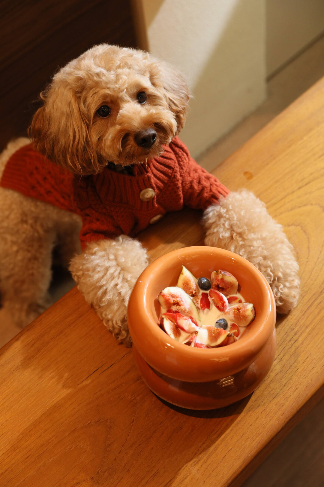 Soufflé Pet Bowl