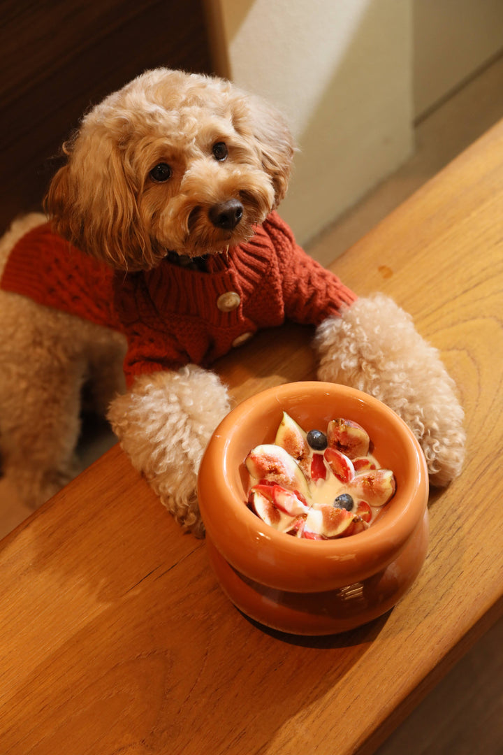 Soufflé Pet Bowl