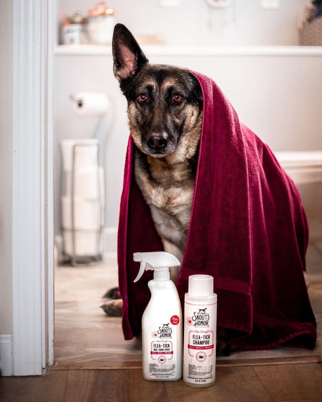 Flea & Tick Spray for Dog + Home