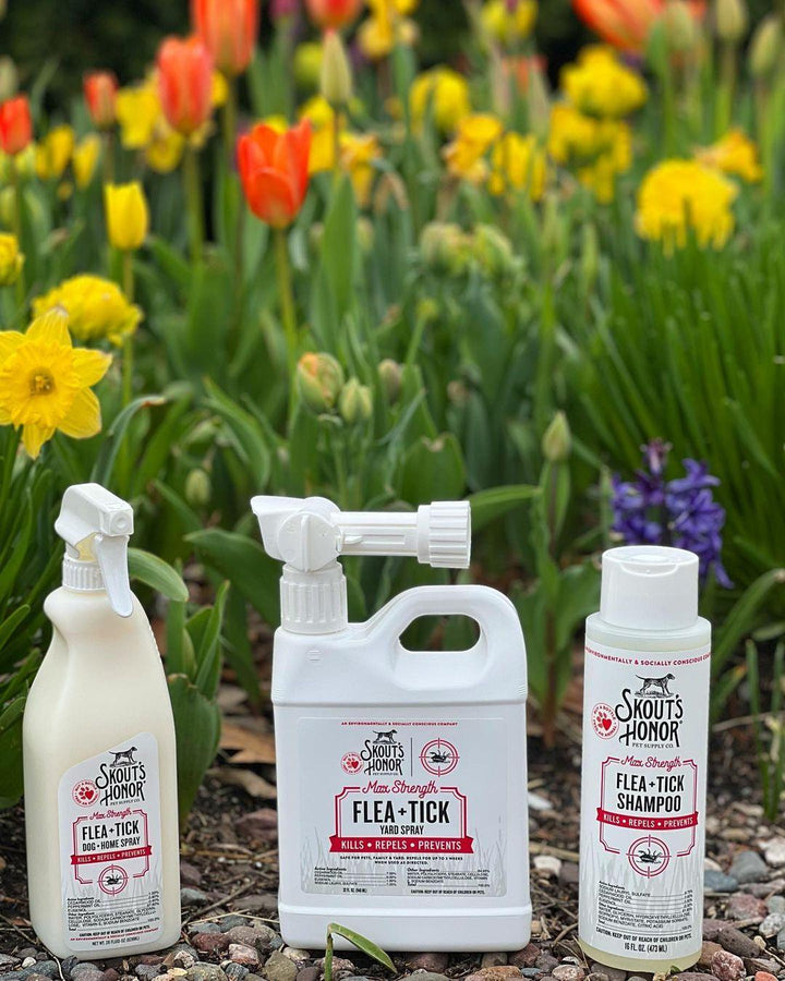 Flea & Tick Spray for Dog + Home